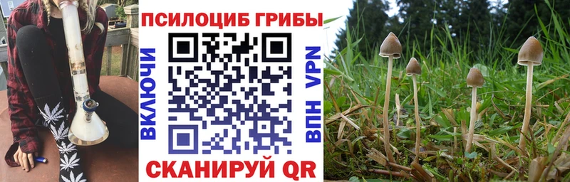 Галлюциногенные грибы прущие грибы  Минеральные Воды 